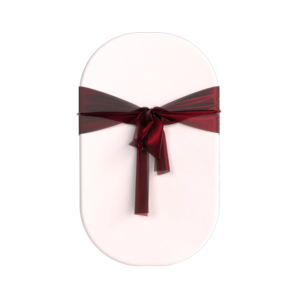 Organza Chair Ribbon