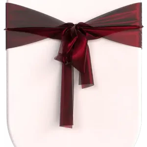 Organza Chair Ribbon
